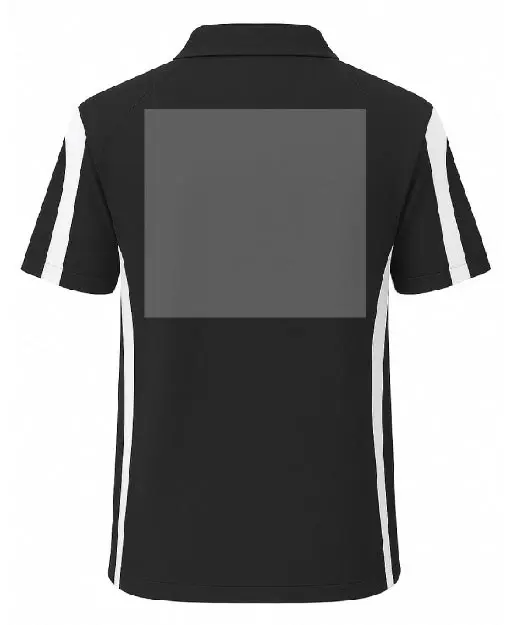 STANDARD BACK